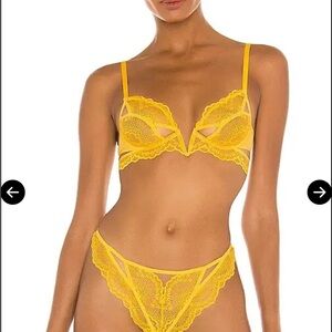 Thistle and Spire Kane Bra Set